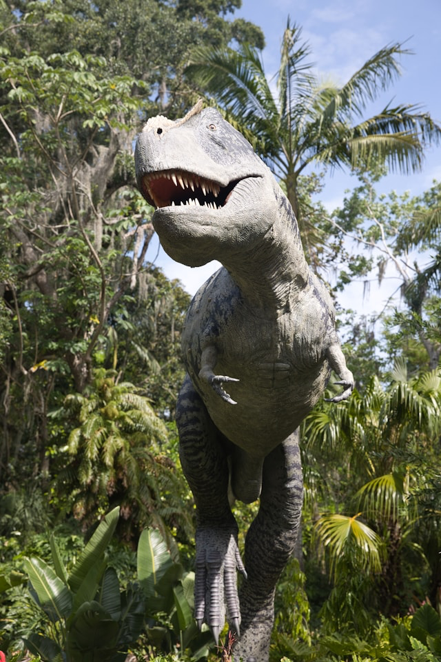 Paleo Park