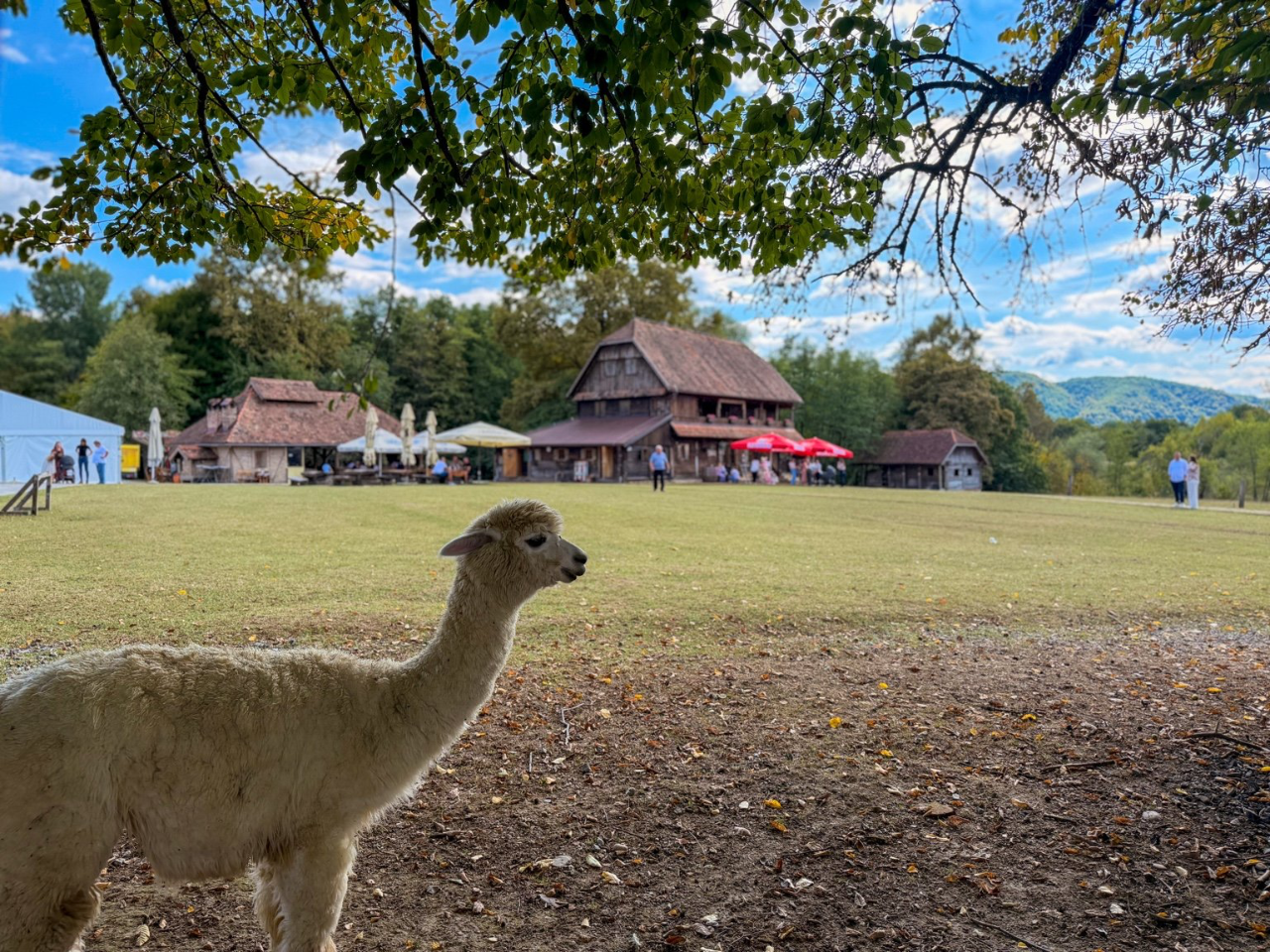 Izletišta sa životinjama